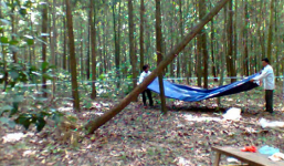 Phát hiện thi thể nam sinh trong tư thế treo cổ trên cây